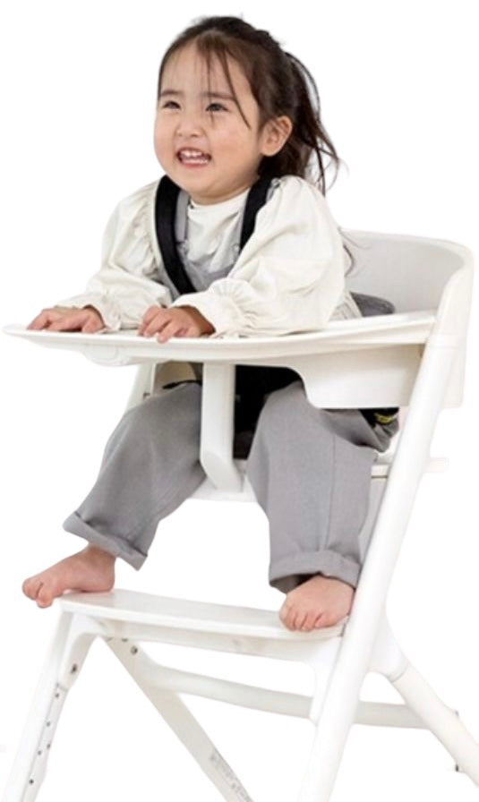 Baby bjorn high chair kogan hot sale